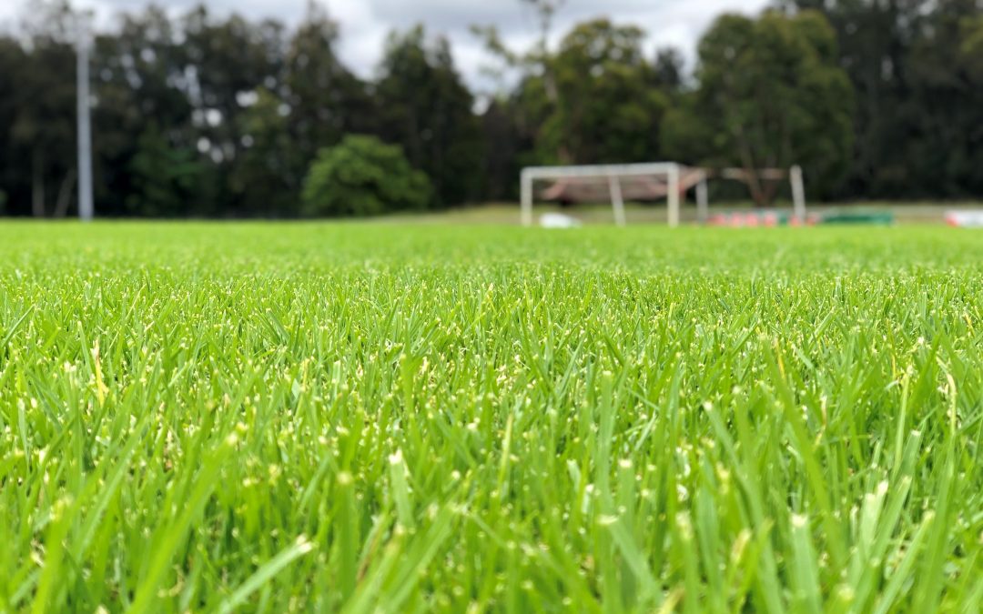 The Home of SDSFA – Ernie Smith Reserve Kelso Park